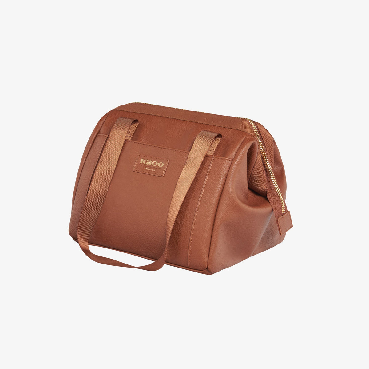 igloo-luxe-lunch-tote-cooler-bag-p0 00061160_2.jpg